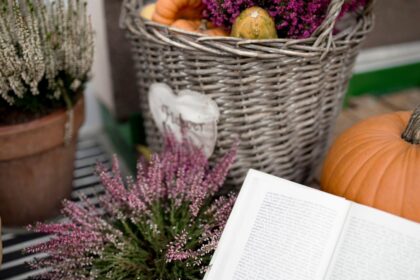 No abandones tu jardín después del verano: el otoño también tiene su magia 7 exterior otono