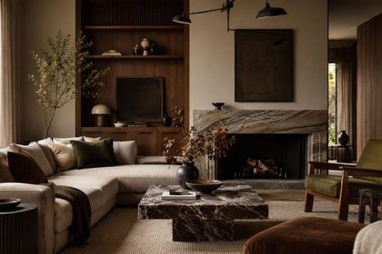 salon contemporaneo chimenea
